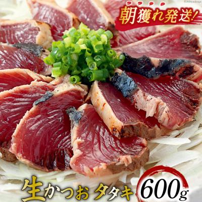 ふるさと納税 気仙沼市 朝獲れ 産地直送 冷蔵便 生かつおタタキ 600g タレ付 20564103