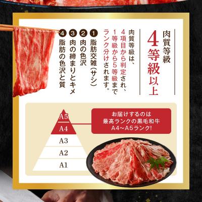 ふるさと納税 天草市 A4〜A5等級 黒毛和牛 切り落とし 1.5kg(500g×3P)_S001-034 |  | 01