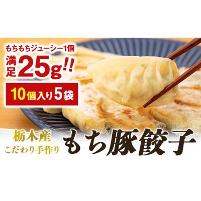 ふるさと納税 栃木市 栃木産こだわり手作りもち豚餃子 | 食品 冷凍食品 惣菜 餃子 手作り 国産