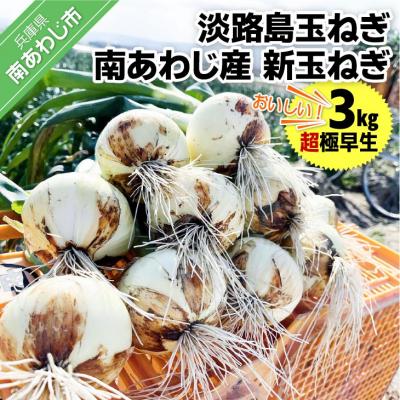 ふるさと納税 南あわじ市 淡路島玉ねぎ 南あわじ産新玉ねぎ(超極早生)3kg ◆配送2月〜