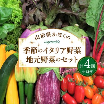 ふるさと納税 河北町 ※2026年7月発送開始[計4回定期便]山形県かほくの季節のイタリア野菜・地元野菜のおまかせセット