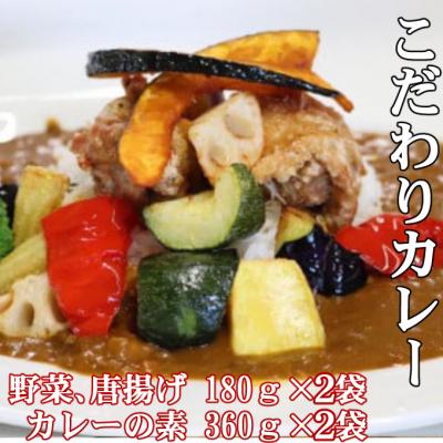 ふるさと納税 室戸市 海土こだわり大人のカレー 2袋