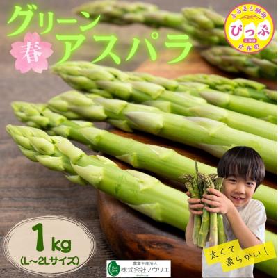 ふるさと納税 比布町 [2026年4月中旬より発送]比布町産 グリーンアスパラ L〜2L サイズ 1kg[ノウリエ]