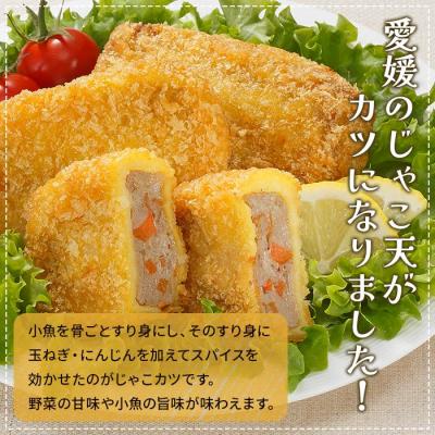 ふるさと納税 西予市 \u003cおがた蒲鉾　じゃこカツ小判(未加熱)5個入り\u003e　じゃこ天　ソウルフード　特産品　郷土料理　おかず_1