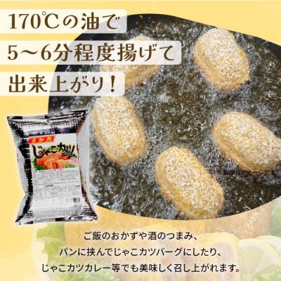 ふるさと納税 西予市 \u003cおがた蒲鉾　じゃこカツ小判(未加熱)5個入り\u003e　じゃこ天　ソウルフード　特産品　郷土料理　おかず_2