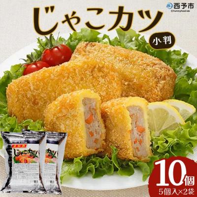ふるさと納税 西予市 <おがた蒲鉾 じゃこカツ小判(未加熱)5個入り×2袋> じゃこ天 ソウルフード おつまみ 郷土料理