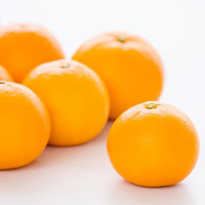 ふるさと納税 高原町 [数量限定]宮崎県産『高原せとか』ご家庭用約2kg(大小混合6~8玉)