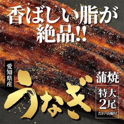 ふるさと納税 大府市 &lt;着日指定必須&gt;[特大・国産うなぎ・蒲焼2尾]養鰻場を知るこだわり大将の絶品うなぎ