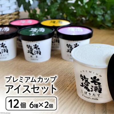 ふるさと納税 砂川市 プレミアムカップアイス12個セット [岩瀬牧場 北海道 砂川市 12260340] アイス