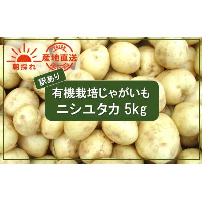ふるさと納税 国東市 先行受付[訳あり]朝収穫してその日に発送!有機栽培じゃがいも5kg(品種:ニシユタカ)_2355R