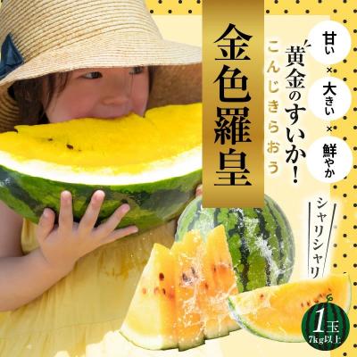 ふるさと納税 碧南市 [2026年発送]甘さを追求したすいか「金色羅皇」1玉 甘い 果物 フルーツ
