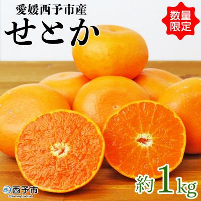 ふるさと納税 西予市 愛媛県明浜産 せとか(1kg)