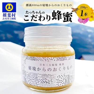 ふるさと納税 椎葉村 [無添加 非加熱]標高800m たっちゃんのこだわり蜂蜜[250g×1本]TN-01