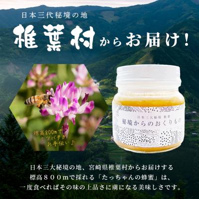 ふるさと納税 椎葉村 【無添加 非加熱】標高800m たっちゃんのこだわり蜂蜜【250g×2本】TN-02の画像