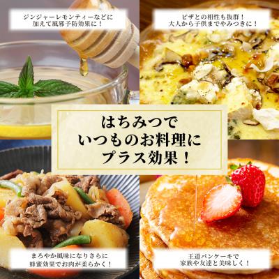 ふるさと納税 椎葉村 【無添加 非加熱】標高800m たっちゃんのこだわり蜂蜜【250g×2本】TN-02の画像