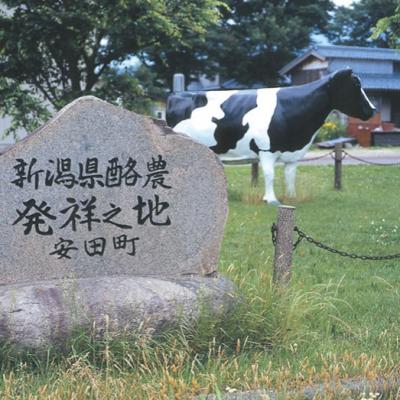ふるさと納税 阿賀野市 【3年連続最高金賞】ヤスダヨーグルト プレミアムセット 化粧箱 |  | 03