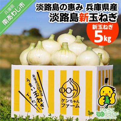 ふるさと納税 南あわじ市 [新玉受付!]＼うまい玉ねぎできたでー/ 特別栽培・新玉ねぎ5kg