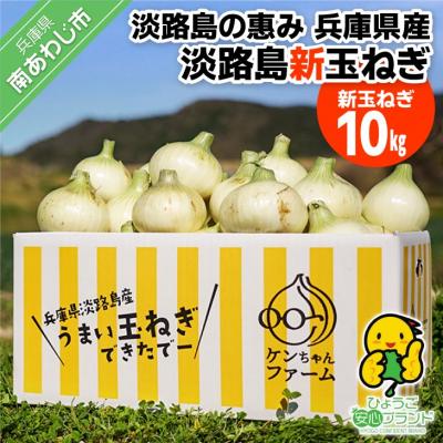 ふるさと納税 南あわじ市 [新玉受付!]＼うまい玉ねぎできたでー/ 特別栽培新玉ねぎ10kg ◆配送3月中旬〜6月中旬
