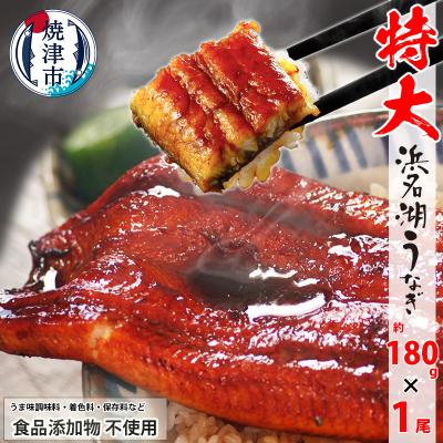 ふるさと納税 焼津市 食品添加物不使用の 浜名湖うなぎ[特大]蒲焼1尾(a10-1044)