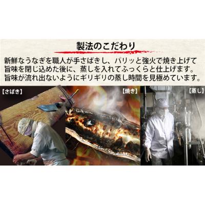 ふるさと納税 焼津市 食品添加物不使用の 浜名湖うなぎ【特大】蒲焼6尾(a60-022)_2