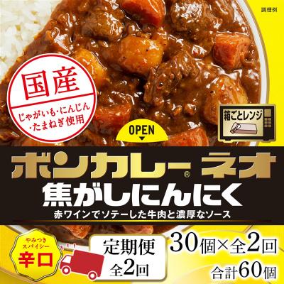 ふるさと納税 徳島市 [定期便 全2回]ボンカレーネオ焦がしにんにくやみつきスパイシー30個×2回 計60個[CA204]