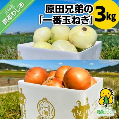 ふるさと納税 南あわじ市 原田兄弟の一番玉ねぎ 3kg