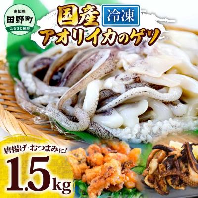 ふるさと納税 田野町 [四国一小さなまち]アオリイカのゲソ ★1.5kg★(500g×3パック)