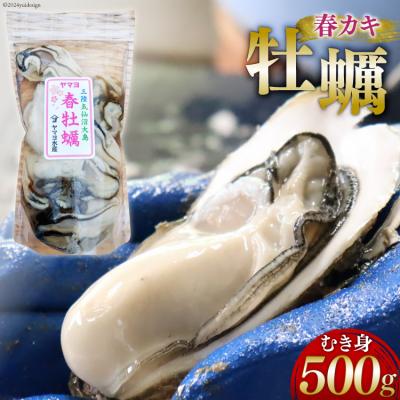 ふるさと納税 気仙沼市 [期間限定発送]ヤマヨ水産の牡蠣 生食用 むき身 500g [5月前半〜出荷] 20565237