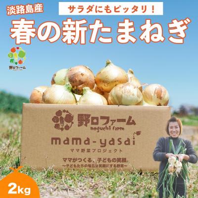 ふるさと納税 南あわじ市 子どもたちが丸ごと食べれる♪春の新たまねぎ2kg