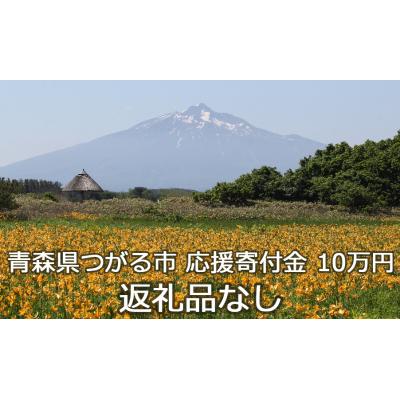 ふるさと納税 つがる市 [返礼品なし] つがる市へのご寄付 10万円分 [0079]