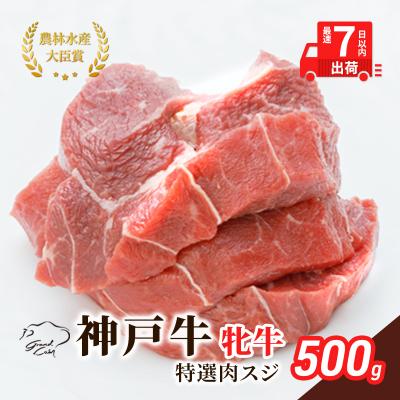 ふるさと納税 加西市 [最短7日以内発送] 神戸ビーフ 神戸牛 牝 特選肉スジ 500g[No5698-1497]
