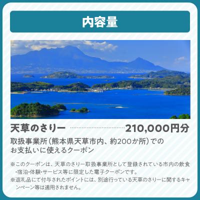 ふるさと納税 天草市 天草市噛み締める引き換え証 210,000円分_S777-016