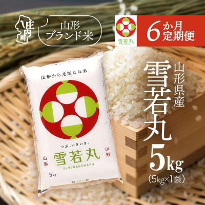 ふるさと納税 庄内町 [6か月定期便]山形米 雪若丸 5kg[7月中旬発送]