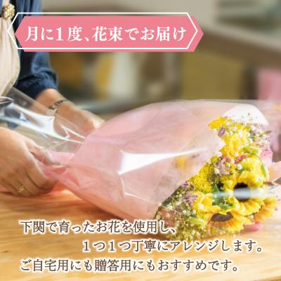 ふるさと納税 下関市 お花の定期便 (花束) 毎月1回×3回分