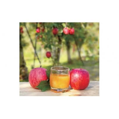 ふるさと納税 湯沢市 りんごジュース 10個入[J4803]