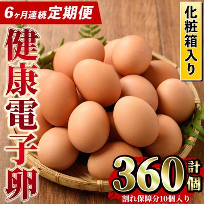 ふるさと納税 いちき串木野市 [6か月定期便]鹿児島県産!健康電子卵(計60個 計120個 全6回お届け♪ )