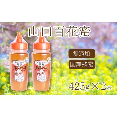 ふるさと納税 下関市 はちみつ 国産 蜂蜜 850g ( 425g×2 ) 国産100% ES001-NT