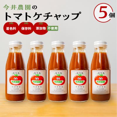 ふるさと納税 下呂市 [今井農園]トマトケチャップ 5個セット(380g×5個)[85-2]