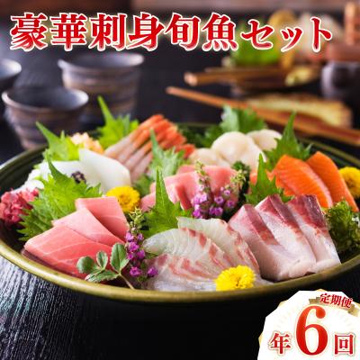 ふるさと納税 下関市 定期便 年6回 隔月 豪華刺身旬魚セット ヤマモ水産