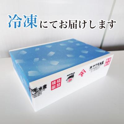 ふるさと納税 下関市 定期便 年6回 隔月 豪華刺身旬魚セット ヤマモ水産 FR056 |  | 03