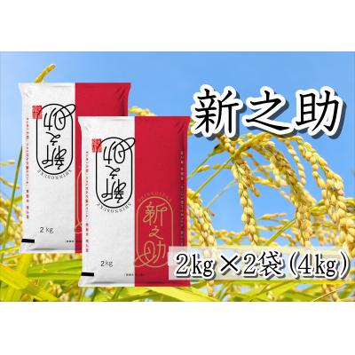 ふるさと納税 阿賀野市 [令和7年産新米]新潟県産 新之助4kg 白米 精米 井上米穀店