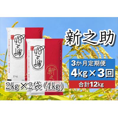 ふるさと納税 阿賀野市 [令和7年産新米][3回定期便]新潟県産 新之助4kg×3回 計12kg 白米 精米 井上米穀店