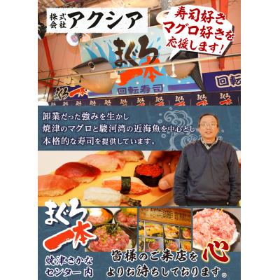 ふるさと納税 焼津市 犬、猫兼用 ペットフード まぐろの極(a10-1050)の画像