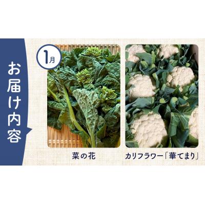 ふるさと納税 徳島市 【12ヶ月定期便】野菜 くだもの 米(月替わりで毎月お届け)【BU002】 |  | 01