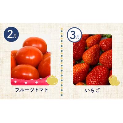 ふるさと納税 徳島市 【12ヶ月定期便】野菜 くだもの 米(月替わりで毎月お届け)【BU002】 |  | 02