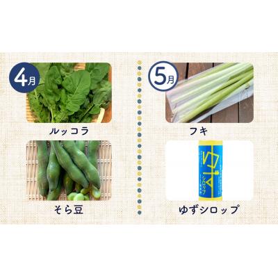 ふるさと納税 徳島市 【12ヶ月定期便】野菜 くだもの 米(月替わりで毎月お届け)【BU002】 |  | 03