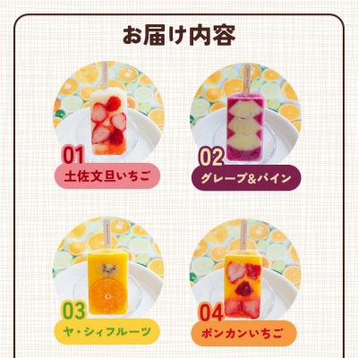 ふるさと納税 香南市 アイスキャンディー 12本入り マナマナ 手作りアイスキャンデー 氷菓 フルーツ ys-0012 |  | 01