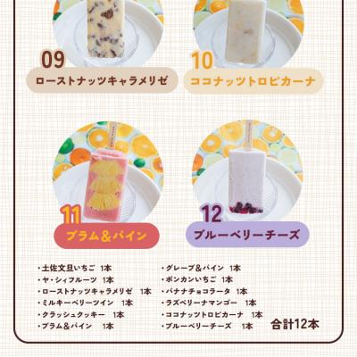 ふるさと納税 香南市 アイスキャンディー 12本入り マナマナ 手作りアイスキャンデー 氷菓 フルーツ ys-0012 |  | 03