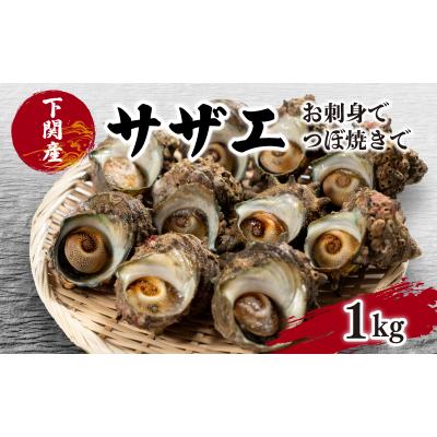 ふるさと納税 下関市 サザエ 1kg 冷凍 下関