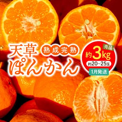 ふるさと納税 天草市 香りを食す!熟成完熟天草ぽんかん 1月発送 約3kg秀品〈先行受付〉_S117-003 | 
